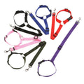 Pet Car Safety Belt Ring Dog Rear Seat Harness Adjustable Lead for Safe Travel